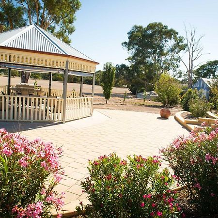 Barossa Vineyard Cottages ทานันดา ภายนอก รูปภาพ