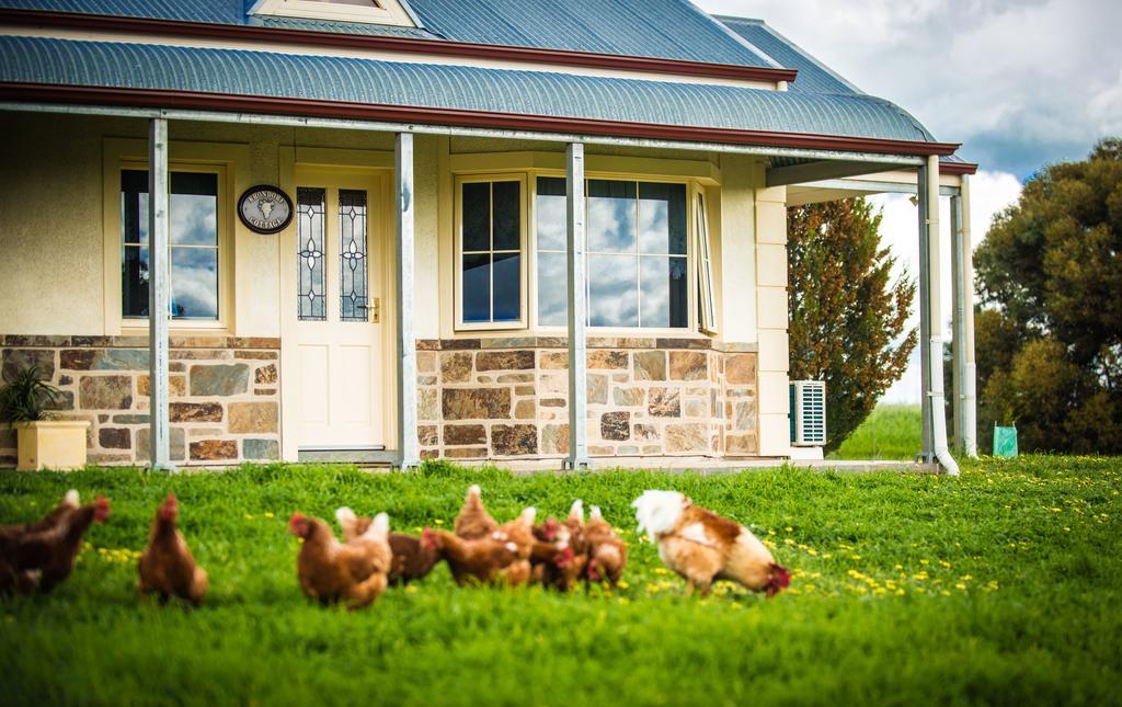 Barossa Vineyard Cottages ทานันดา ภายนอก รูปภาพ
