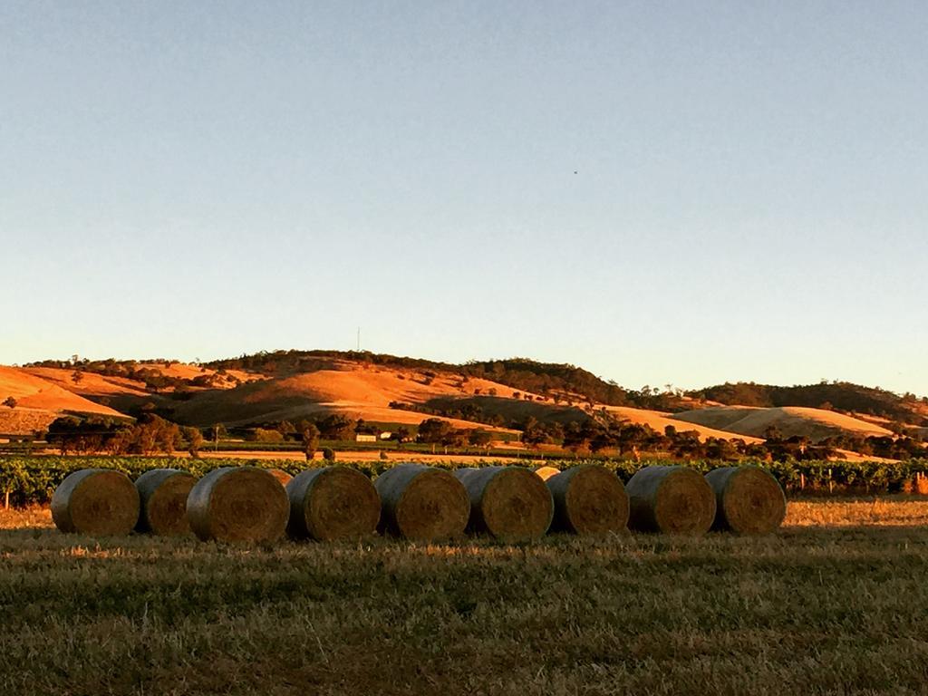 Barossa Vineyard Cottages ทานันดา ภายนอก รูปภาพ