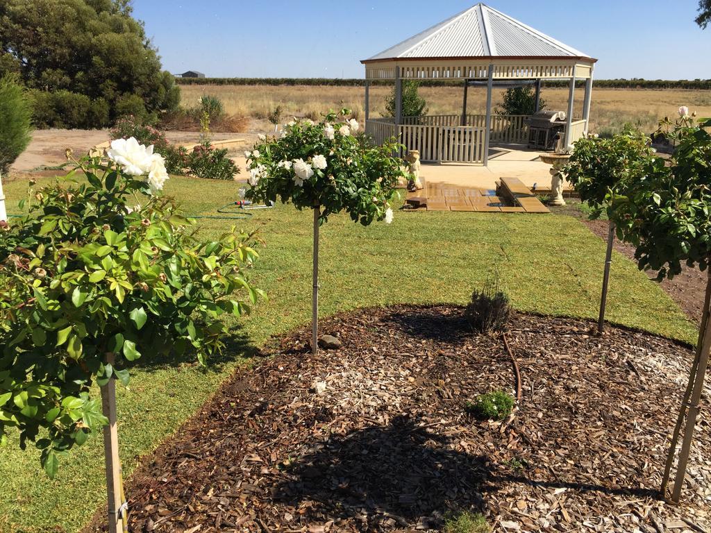 Barossa Vineyard Cottages ทานันดา ภายนอก รูปภาพ