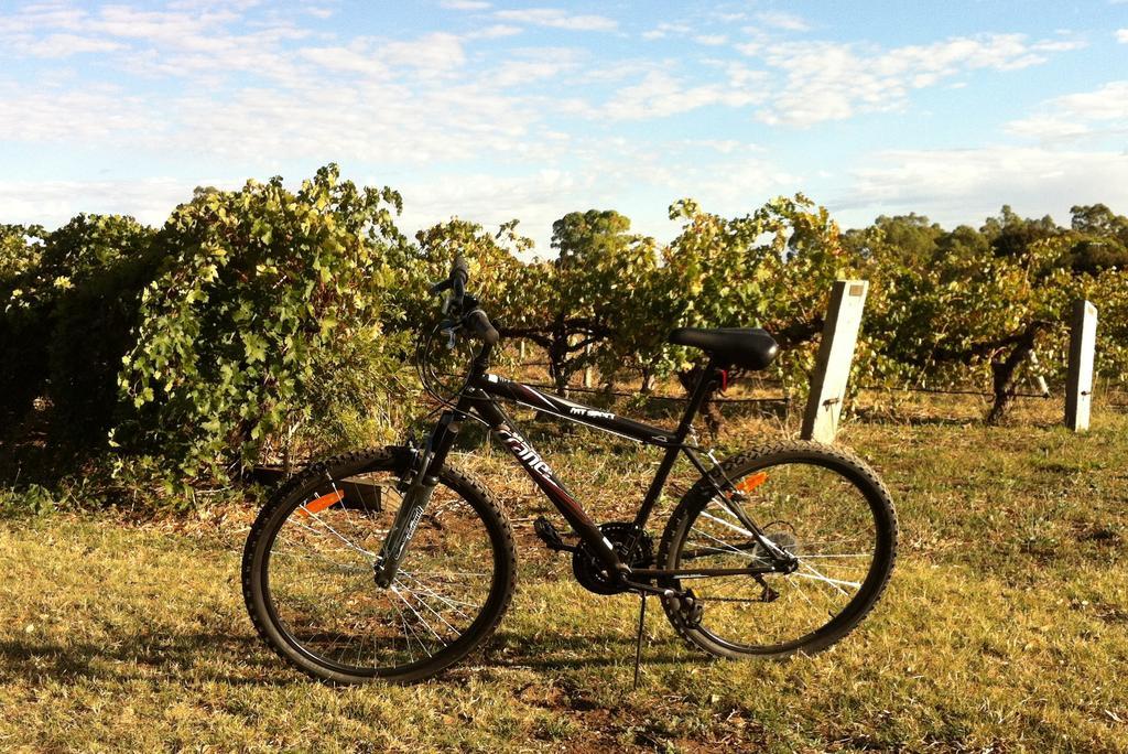 Barossa Vineyard Cottages ทานันดา ภายนอก รูปภาพ