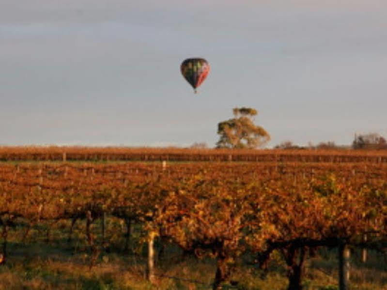 Barossa Vineyard Cottages ทานันดา ภายนอก รูปภาพ