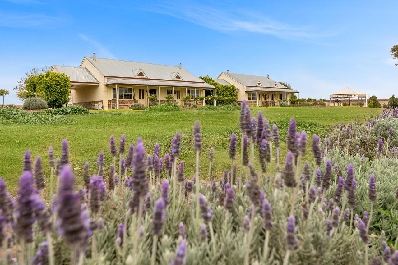 Barossa Vineyard Cottages ทานันดา ภายนอก รูปภาพ