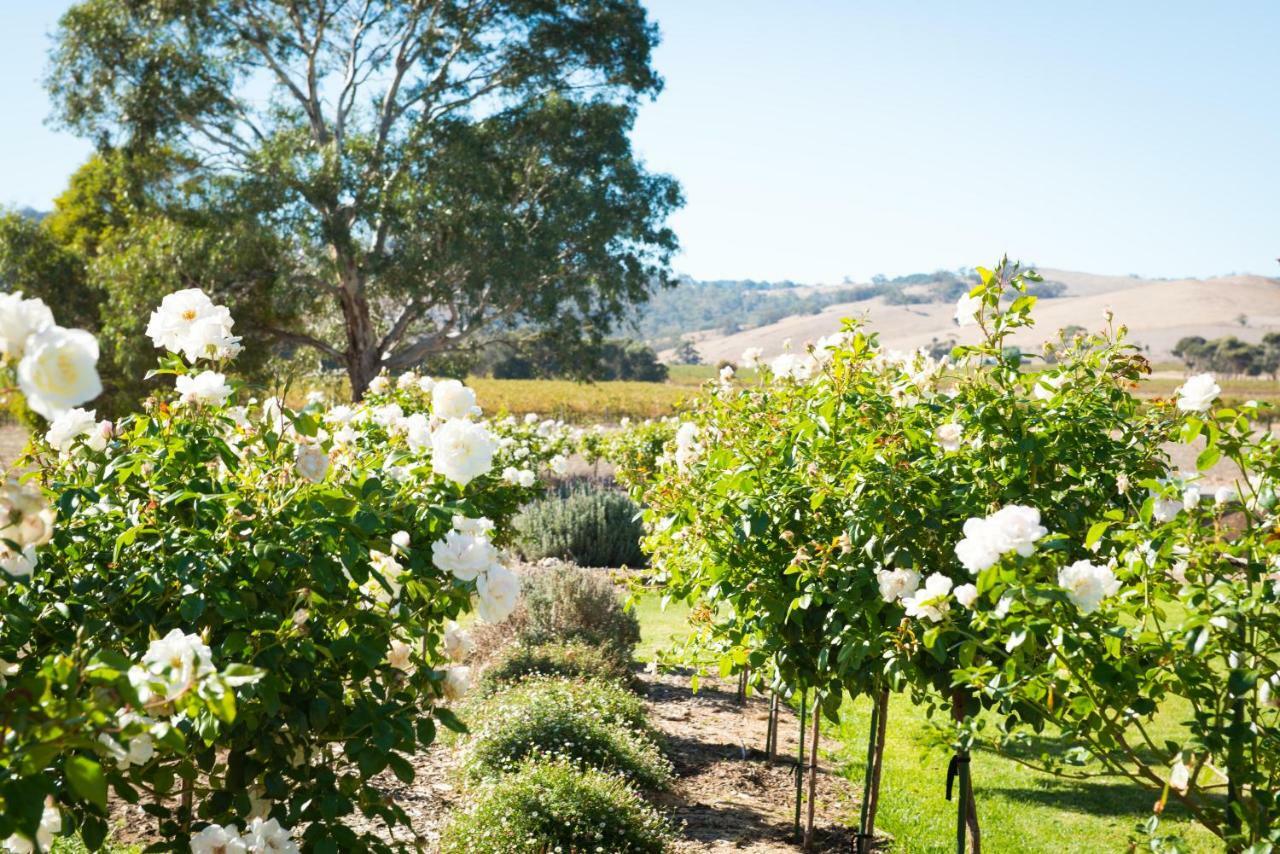 Barossa Vineyard Cottages ทานันดา ภายนอก รูปภาพ