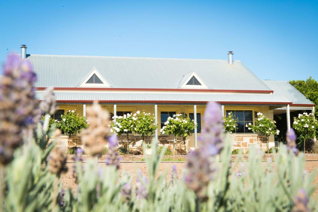 Barossa Vineyard Cottages ทานันดา ภายนอก รูปภาพ